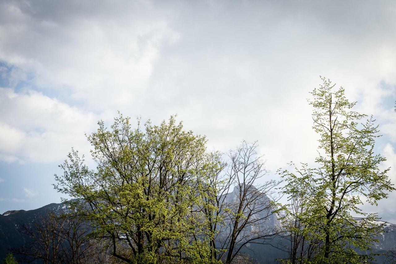Gorski Klimat Zakopane Luaran gambar